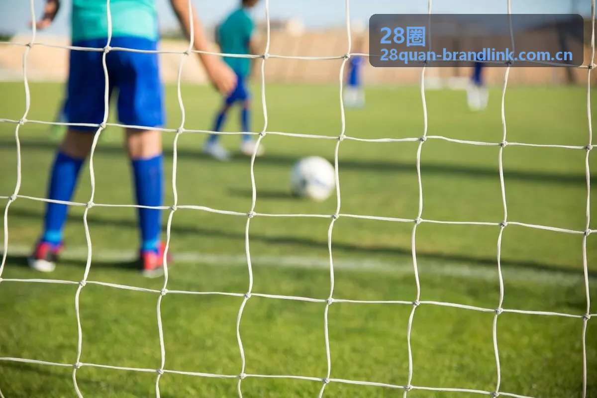 28圈竞争情报助力企业抢占先机